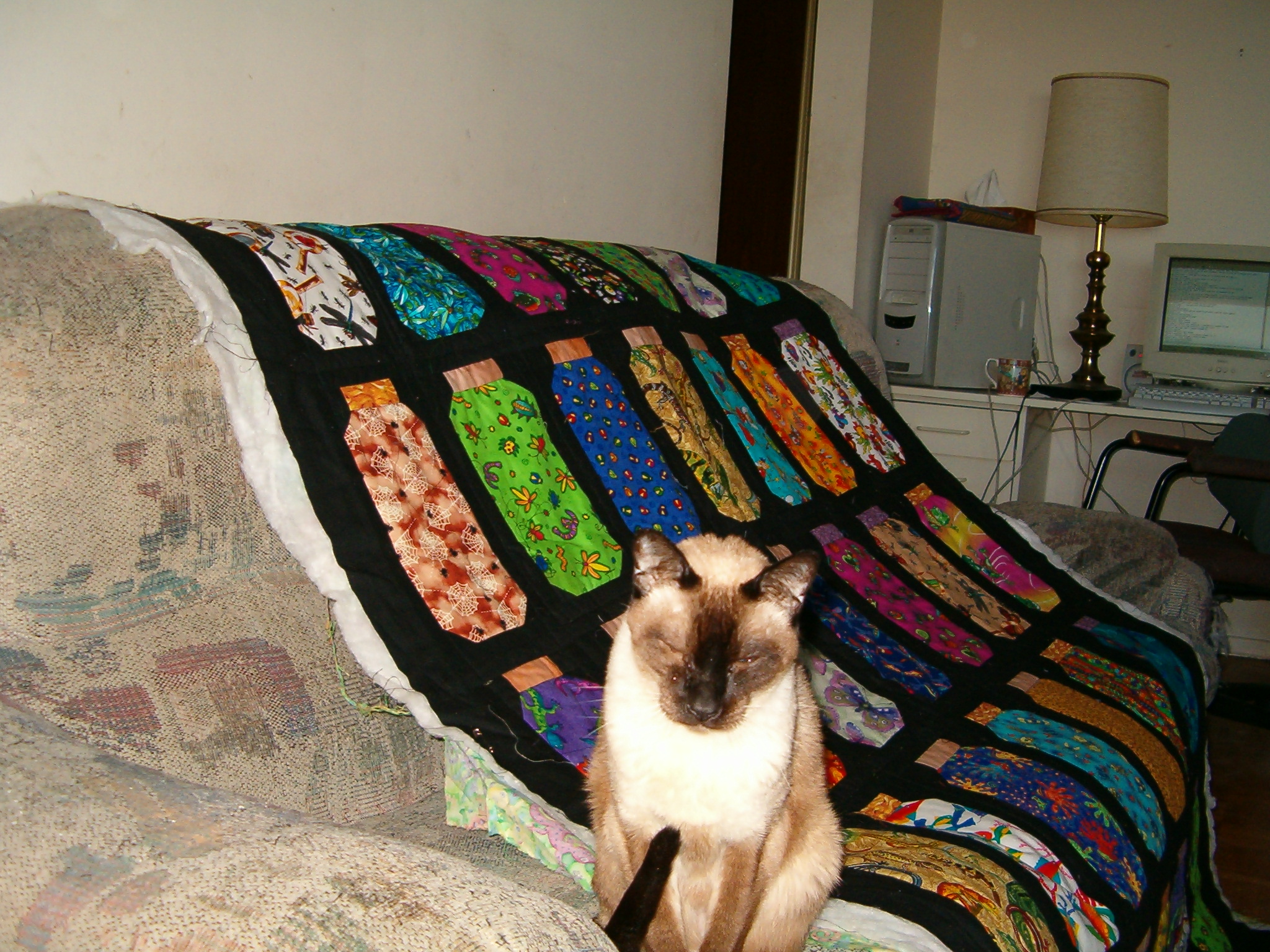 Bug_Jar_Quilt_with_Mao
